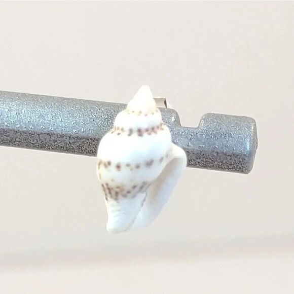 Handmade Seashell Earrings - Picture 3 of 7